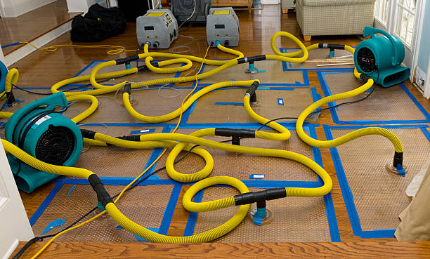 Professional Burst Pipe Water Damage technician working in Huntington, VA